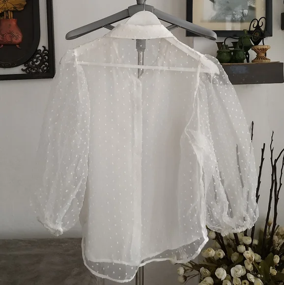 Zara Organza Puff Sleeve Blouse - Picture 4 of 10